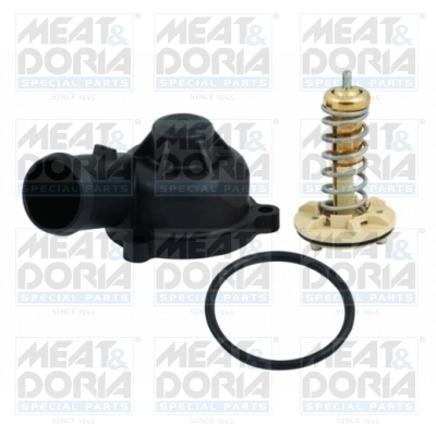 Thermostat, coolant